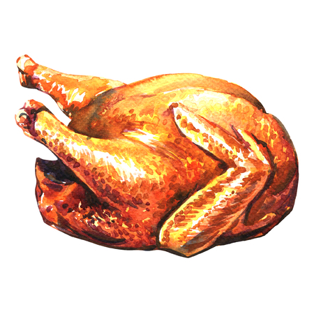 roasted turkey, watercolor painting on white backgroundの写真素材