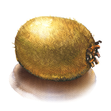 Close-up fresh raw whole kiwi isolated, watercolor illustration on white backgroundの写真素材
