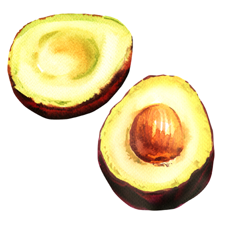 Fresh avocado, whole and half ripe exotic fruit isolated, hand drawn watercolor illustration on whiteの写真素材
