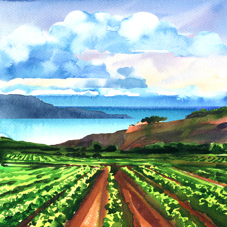 Rural panoramic landscape with vineyard, ocean, rocks, blue sky and clouds, beautiful view, summer time, vacation and travel concept, hand drawn watercolor illustration, nature backgroundの写真素材
