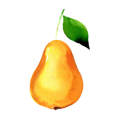 Ripe yellow pear with green leaf isolated, organic juicy fruit, hand drawn watercolor illustration on white backgroundの写真素材