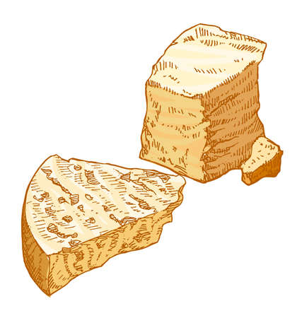 Piece of hard cheese, Parmesan, Edam, cut slice, french organic food, close-up, isolated, vintage style, hand drawn vector illustration on white backgroundのイラスト素材