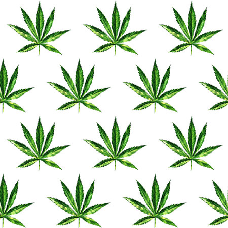 Green marijuana leaf seamless pattern, Cannabis leaf drug herb. Hand drawn watercolor illustration on whiteの写真素材