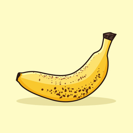 Two pairs of bananas fruit vector illustrationのイラスト素材
