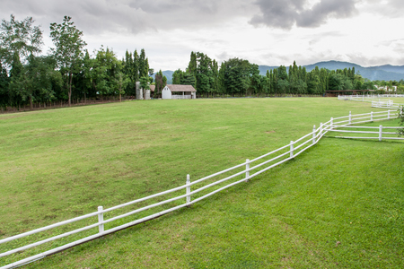 Farm agriculture pasture rural.の写真素材