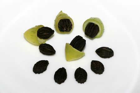 seedsの写真素材