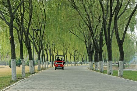 natural landscapeの写真素材