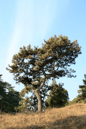 natural sceneryの写真素材