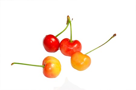 cherry on a white background, Very delicious natural foods, people looked very greedy..の写真素材