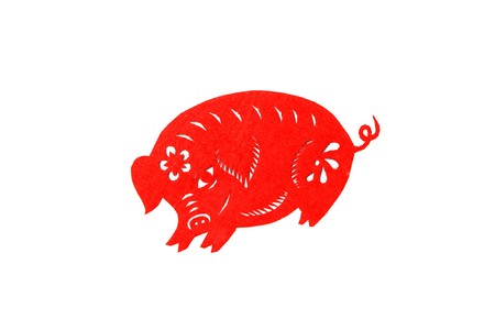 chinese paper-cut works in simple color backgroundの写真素材