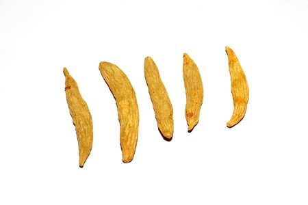 close up of ophiopogon in white backgroundの写真素材