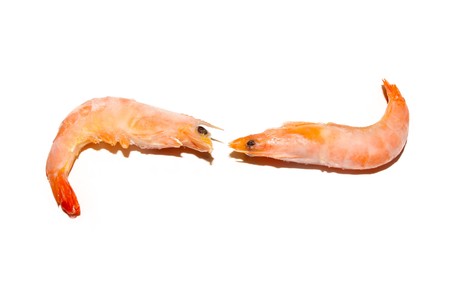 close up of frozen shrimp, north china, a kind of foodの写真素材