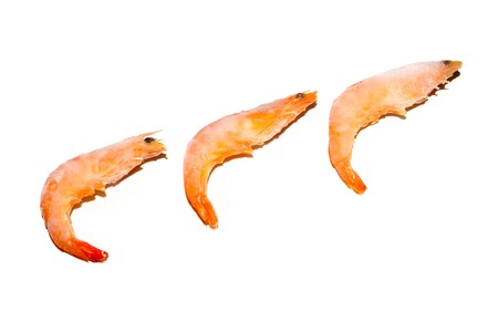 close up of frozen shrimp, north china, a kind of foodの写真素材