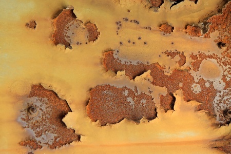 close up of pictures, rusty iron plate