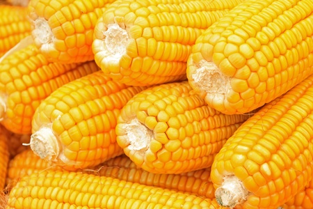 corn bonzi material in China rural