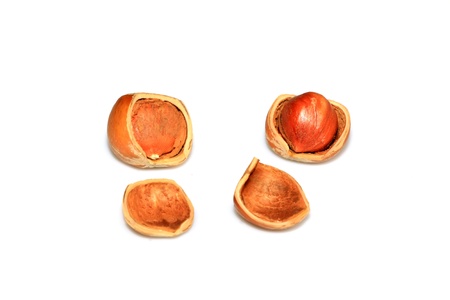 a kind of nuts - hazelnuts on the white background.