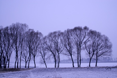 snow scenery in a park in north china