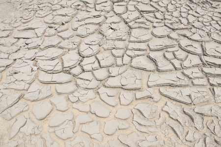 closeup of crack in the ground