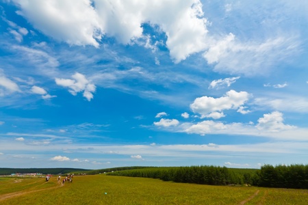 closeup of grassland landscape in chengde SaiHanBa, in Chinaの写真素材