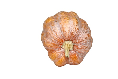 closeup of pumpkin on a white backgroundの写真素材