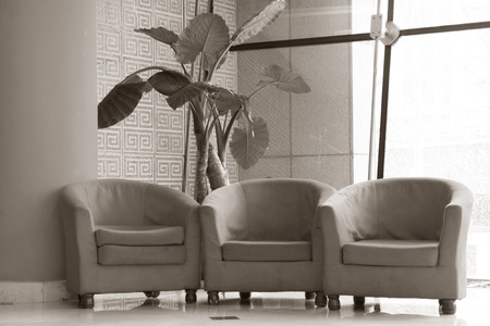 sofa and flowers in the hall in a public place のeditorial素材