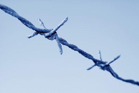 rusty barbed wire in the blue sky background 
