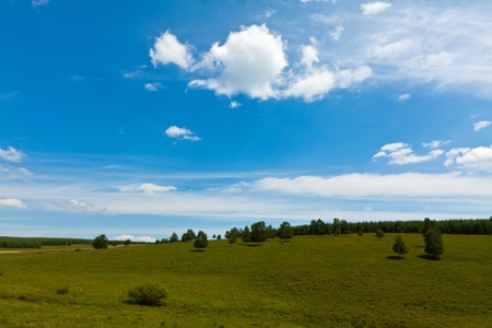 closeup of grassland landscape in chengde SaiHanBa, in Chinaの写真素材