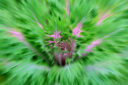 closeup of pictures, flow of color の写真素材