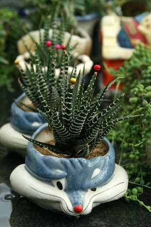 Beautiful cartoons Flowerpots in a Flower market, china.のeditorial素材