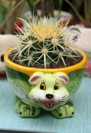 Beautiful cartoons Flowerpots in a Flower market, china.の写真素材