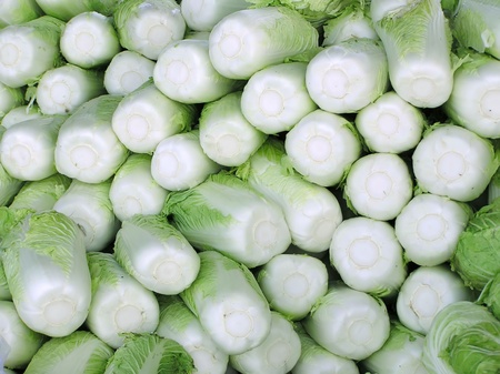 clean Chinese cabbage piling up together in a market, north china の写真素材