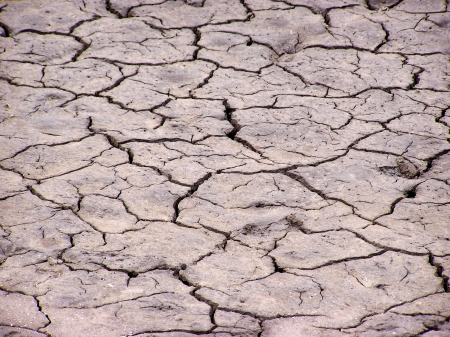Dry pond bottom, closeup of photo, north china