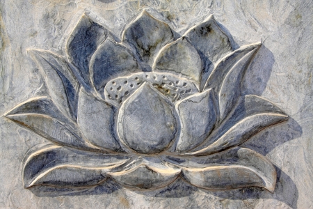 carved lotus in the gray rock in a park, north chinaの写真素材