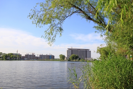high rise buildings and trees by the water, north chinaのeditorial素材