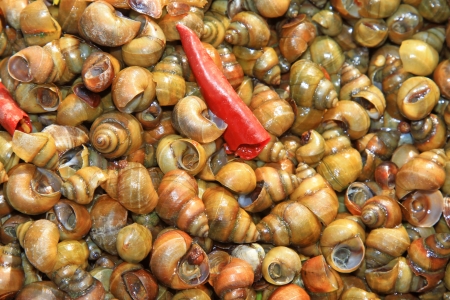 chinese Characteristics food -- cooked snails, closeup of delicacyの写真素材