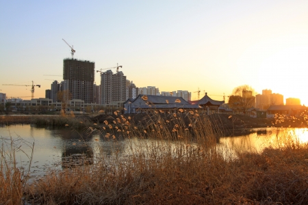 reed and building by the river, in the north, Chinaの写真素材