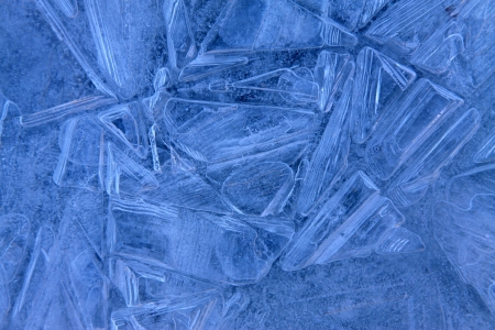 ice flower on the river in winter in the wild, north China