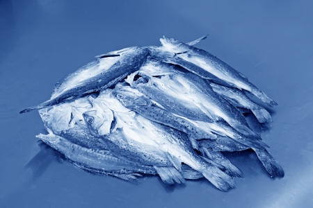 a very delicious food - dried fishの写真素材