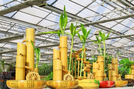 waterwheel modelling flower pots in a flower market, north china のeditorial素材