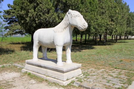 ZUNHUA - MAY 11: Stone horse in the Eastern Royal Tombs of the Qing Dynasty on May 11, 2013, Zunhua, Hebei Province, china.
のeditorial素材