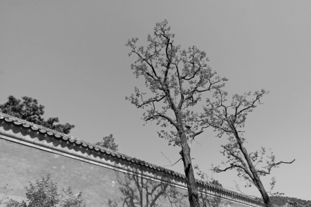 ZUNHUA - MAY 11: Ancient architecture scenery in the Eastern Royal Tombs of the Qing Dynasty on May 11, 2013, Zunhua, Hebei Province, china.
のeditorial素材