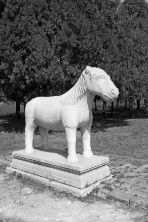 ZUNHUA - MAY 11: Stone horse in the Eastern Royal Tombs of the Qing Dynasty on May 11, 2013, Zunhua, Hebei Province, china.
のeditorial素材