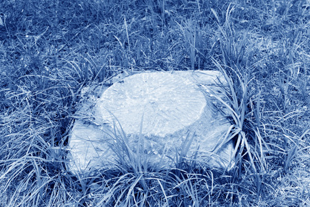 debris stone groundmass in the grassの写真素材