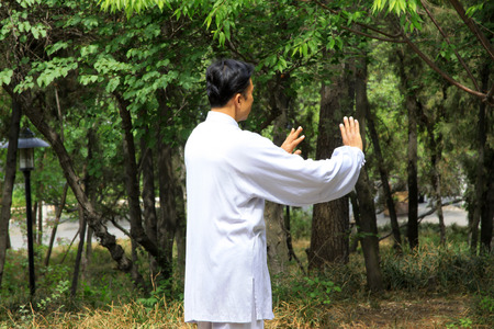 TANGSHAN - MAY 10: elderly practicing martial arts in a park on May 10, 2014, tangshan city, hebei province, China. 
のeditorial素材