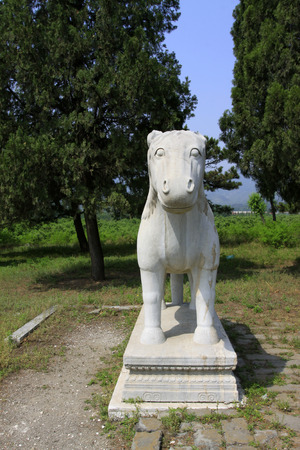ZUNHUA MAY 18ï¼Stone animal landscape architecture in the Eastern Tombs of the Qing Dynasty on may 18, 2014, Zunhua county, Hebei Province, China.
のeditorial素材