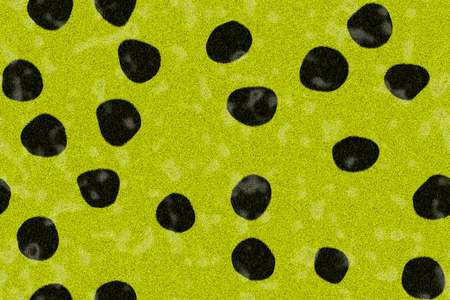 closeup of photo, computer generated animal skins texture spotsの写真素材