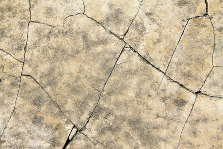 Surface texture of rocks, closeup of photo の写真素材