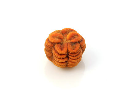 Fructus momordicae seed, Producer in China, closeup of photo