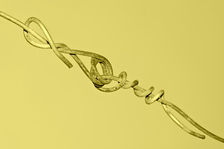 rusty barbed wire in the sky, give a person a kind of nostalgic feelingの写真素材