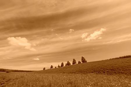 beautiful grassland landscape in summer, Chengde, Hebei Province, north chinaの写真素材